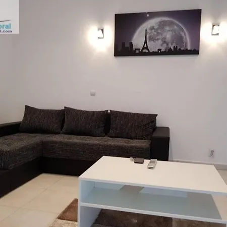 アパート Apartament Dany Maria コスティネシュティ